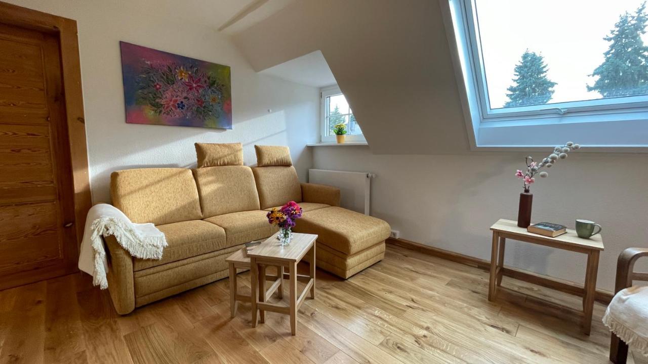 Carolinga Appartement Dresden Buitenkant foto